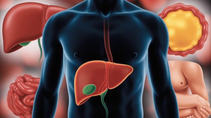 découvrez les principaux symptômes d'un foie malade à ne pas ignorer. apprenez à reconnaître les signes d'alerte pour consulter rapidement et préserver votre santé hépatique.